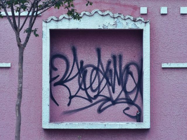 marcas y detractores